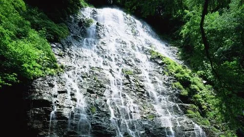 精密电子
